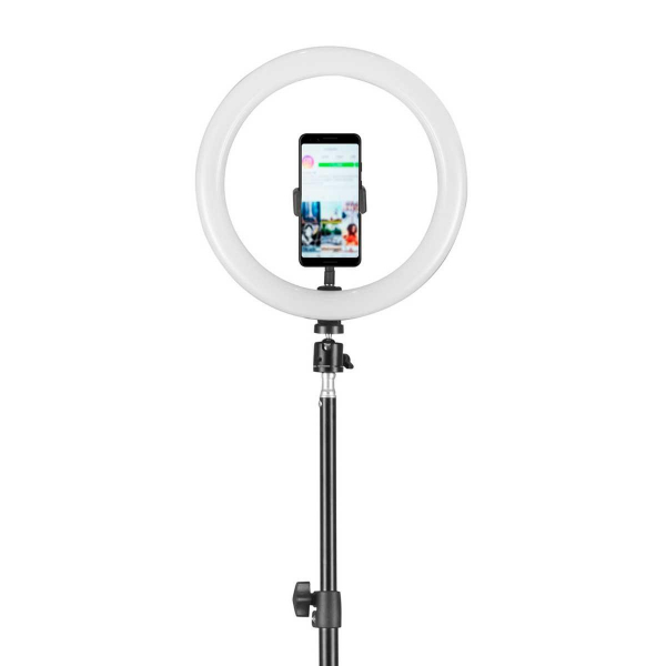 Торшер Camelion KD-810F C02 13010 Торшер Camelion KD-810F C02 13010