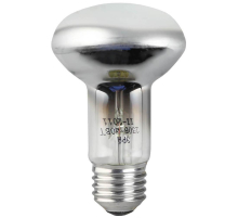 Лампа накаливания ЭРА E27 40W 2700K зеркальная ЛОН R63-40W-230-E27 C0040648