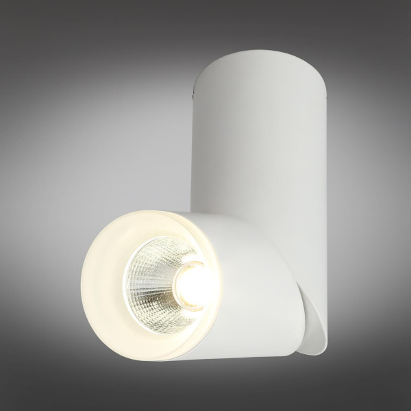 Светодиодный спот Omnilux Ultimo OML-100209-10 Светодиодный спот Omnilux Ultimo OML-100209-10