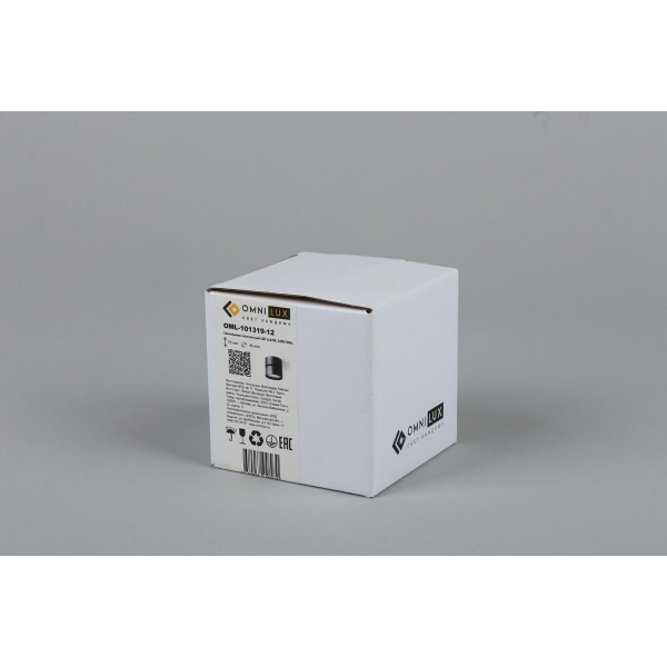 Светодиодный спот Omnilux Lenno OML-101319-12 Светодиодный спот Omnilux Lenno OML-101319-12