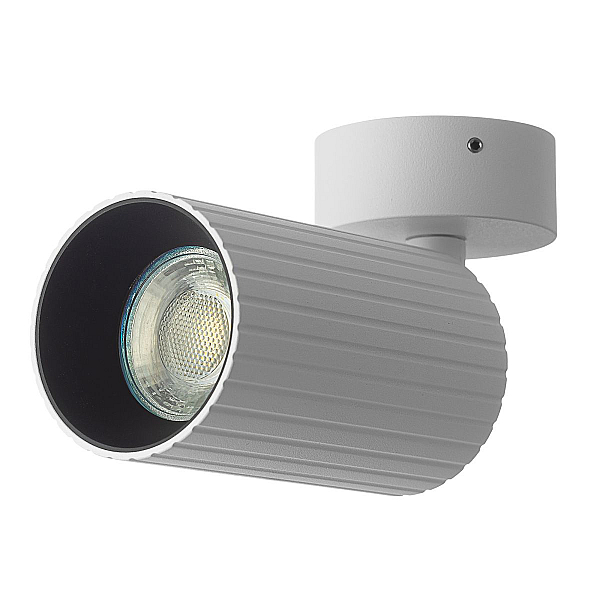 Спот Citilux Axel CL512210R