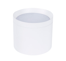 Накладной светильник Favourite 4708-1C