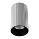 Потолочный светильник Citilux Axel CL512110R