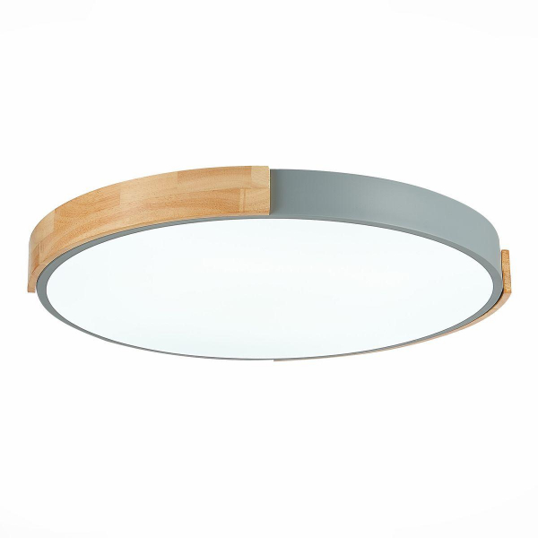Потолочный сетодиодный светильник Evoluce Delia SLE201372-01 Потолочный сетодиодный светильник Evoluce Delia SLE201372-01