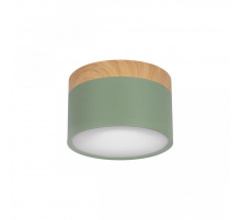 Накладной светодиодный светильник Loft IT Grape 10162 Green