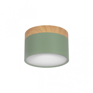 Накладной светодиодный светильник Loft IT Grape 10162 Green