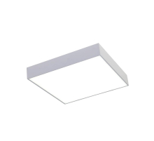 Потолочный светодиодный светильник Favourite Flashled 2066-30C