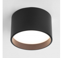 Потолочный светодиодный светильник Elektrostandard 25123/Led Banti 13Вт 4200K a058847