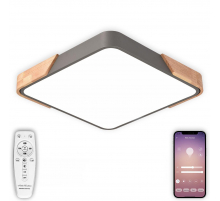 Потолочный светодиодный светильник Natali Kovaltseva LED LAMPS 81412