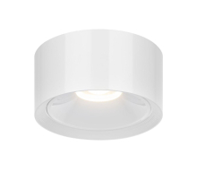 Потолочный светодиодный светильник Citilux Rover CL743060N