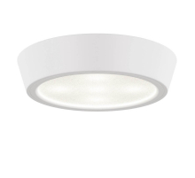 Потолочный светодиодный светильник Lightstar Urbano 214904