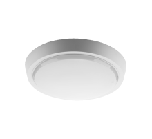 Накладной светодиодный светильник WOLTA DBO01-20-4K