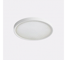 Потолочный светодиодный светильник Italline IT011-5021 white