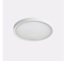 Потолочный светодиодный светильник Italline IT011-5021 white