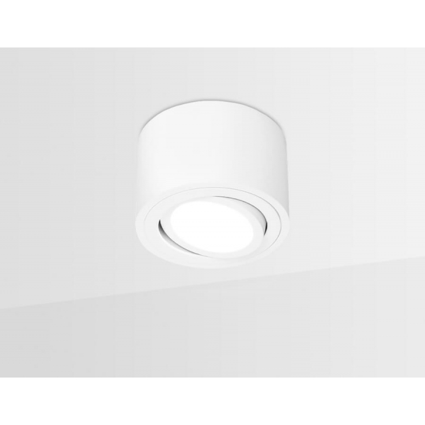 Накладной светильник Ambrella light Techno Spot TN222 Накладной светильник Ambrella light Techno Spot TN222