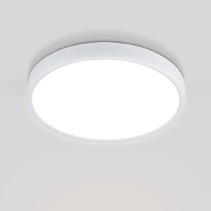 Потолочный светодиодный светильник Elektrostandard DLR034 24W 4200K a043016