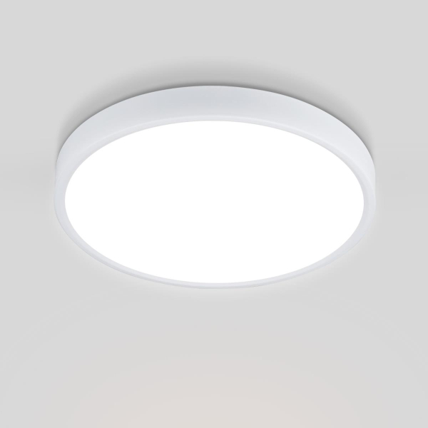 Потолочный светодиодный светильник Elektrostandard DLR034 24W 4200K a043016