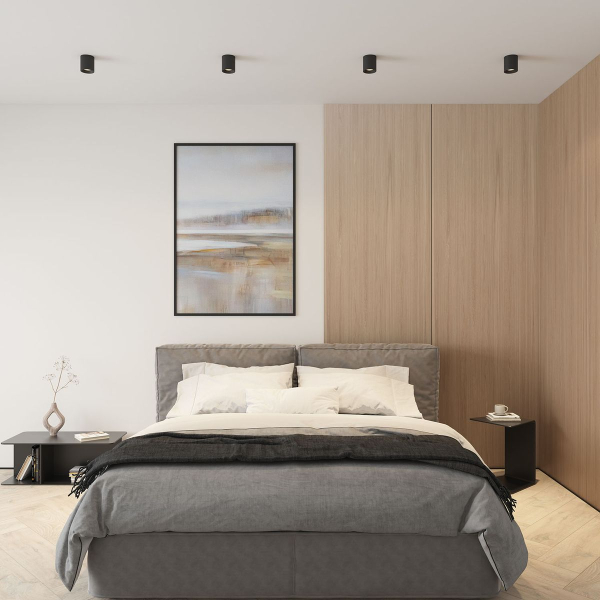 Накладной светильник Denkirs DK3090-BK