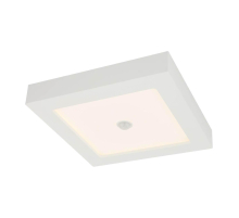 Потолочный светодиодный светильник Globo Svenja 41606-18S