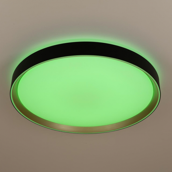 Потолочный светодиодный светильник Citilux Boss CL751451G Потолочный светодиодный светильник Citilux Boss CL751451G