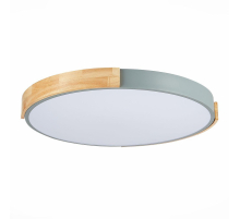 Потолочный сетодиодный светильник Evoluce Delia SLE201372-01