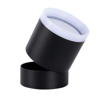 Накладной светильник Favourite 4710-1C