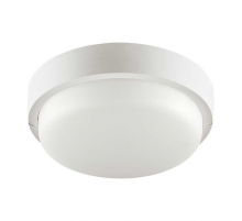 Накладной светодиодный светильник WOLTA LCL04-8W-R11-4K-SOA