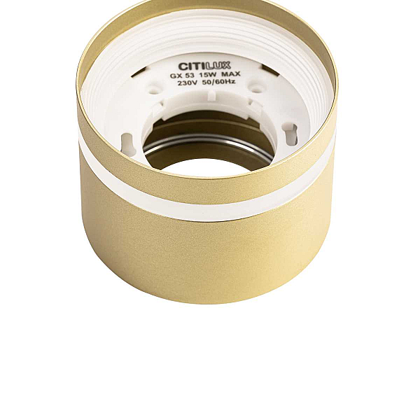 Потолочный светильник Citilux Hardy CL002C12