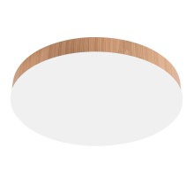 Потолочный светодиодный светильник Feron AL1600 51110