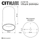 Потолочный светильник Citilux Axel CL512111R