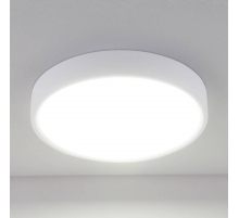 Потолочный светодиодный светильник Elektrostandard DLR034 18W 4200K a043015