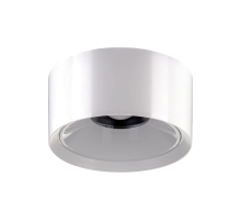 Потолочный светодиодный светильник Citilux Rover CL743090N