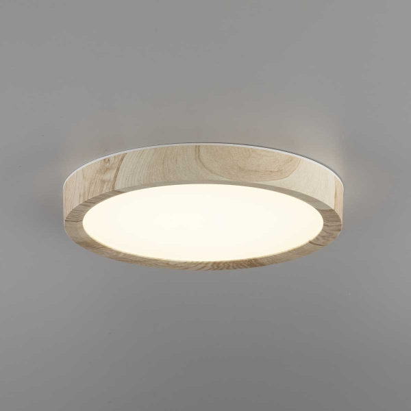 Накладной светильник Citilux CL738122N