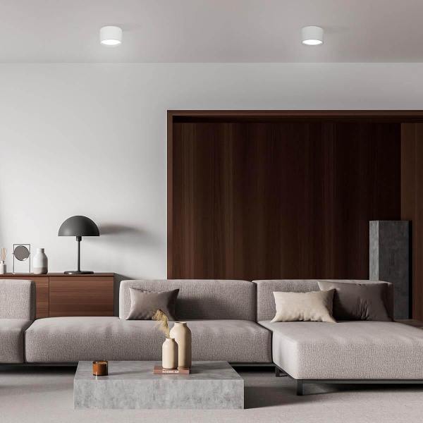 Потолочный светодиодный светильник Escada 20005SMU/02LED SWH Потолочный светодиодный светильник Escada 20005SMU/02LED SWH