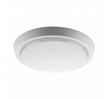 Накладной светодиодный светильник WOLTA DBO01-25-4K