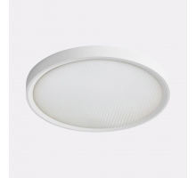 Потолочный светодиодный светильник Italline IT011-5024 white