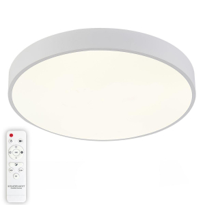 Потолочный светодиодный светильник Natali Kovaltseva LED LAMPS 81112/5C