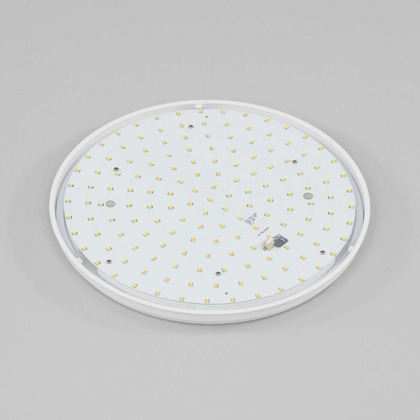 Потолочный светодиодный светильник Citilux Луна CL702221N