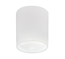 Накладной светильник Lightstar Solido E27 216626