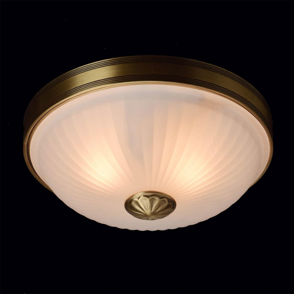 Потолочный светильник MW-Light Ангел 295013402 Потолочный светильник MW-Light Ангел 295013402