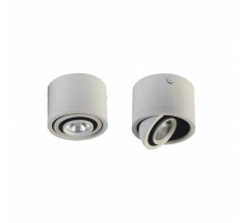 Потолочный светодиодный светильник Favourite Reflector 1774-1C