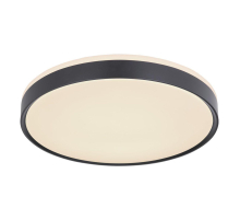 Потолочный светодиодный светильник Globo Sonny 41587-24