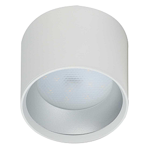 Накладной светильник ЭРА OL8 GX53 WH/SL Б0048537