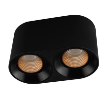 Накладной светильник Denkirs DK3096-BK+BR