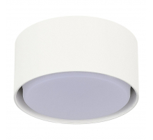 Потолочный светильник ST Luce ST164.502.01