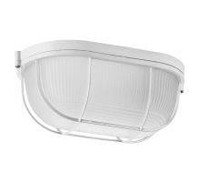 Накладной светильник WOLTA ДПБ04-100-002