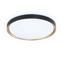 Потолочный светодиодный светильник Ambrella light Orbital Air FZ1249