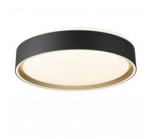 Потолочный светодиодный светильник Citilux Boss CL751251G