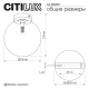 Светильник Citilux ORTON CL202511