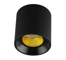 Потолочный светильник Denkirs DK3020BYE DK3090-BK+YE